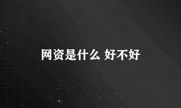 网资是什么 好不好
