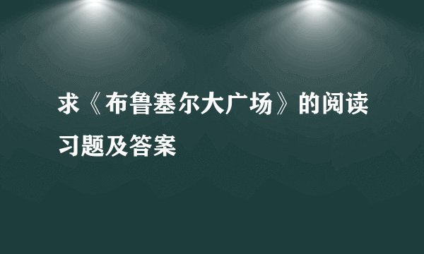 求《布鲁塞尔大广场》的阅读习题及答案
