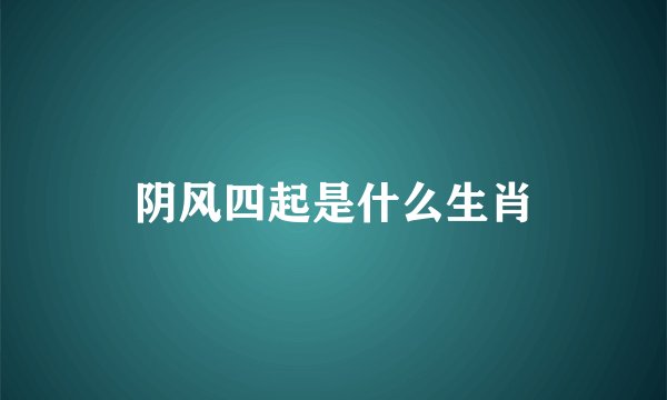 阴风四起是什么生肖