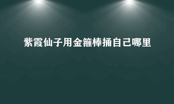 紫霞仙子用金箍棒捅自己哪里