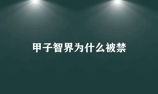甲子智界为什么被禁