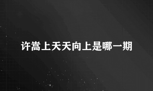 许嵩上天天向上是哪一期