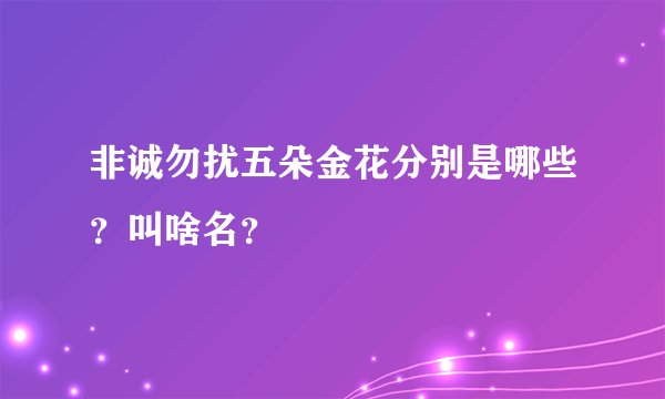 非诚勿扰五朵金花分别是哪些？叫啥名？