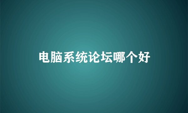 电脑系统论坛哪个好