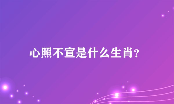 心照不宣是什么生肖？