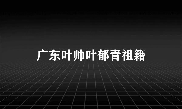 广东叶帅叶郁青祖籍