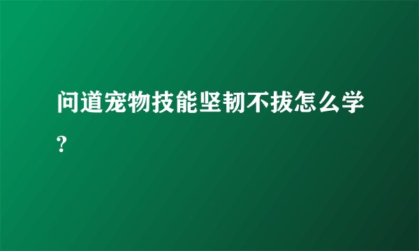 问道宠物技能坚韧不拔怎么学?