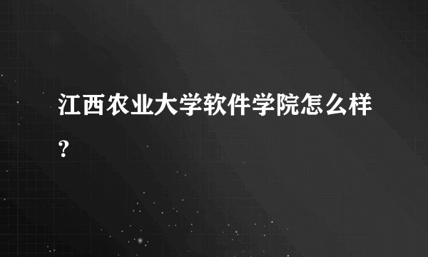 江西农业大学软件学院怎么样？