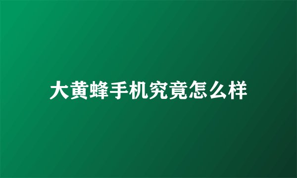 大黄蜂手机究竟怎么样