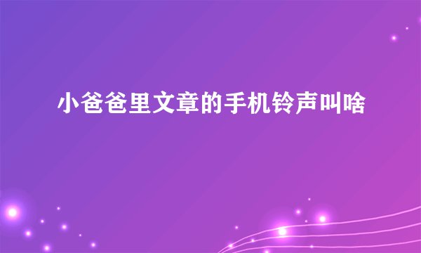 小爸爸里文章的手机铃声叫啥