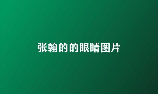 张翰的的眼睛图片