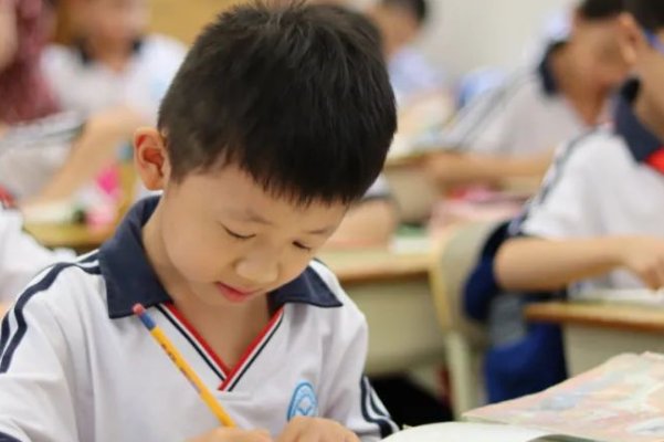 中国tobu7tobu8学生软件是什么?