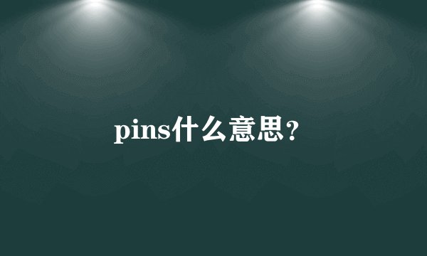 pins什么意思？
