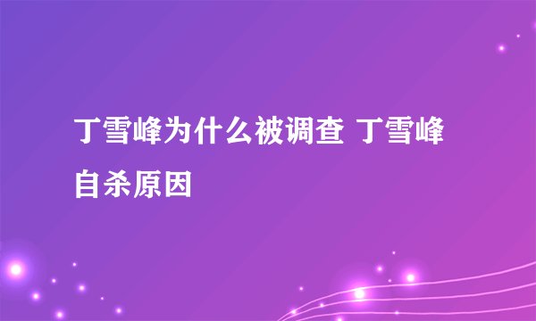 丁雪峰为什么被调查 丁雪峰自杀原因