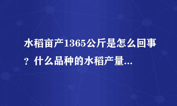 水稻亩产1365公斤是怎么回事？什么品种的水稻产量这么高？