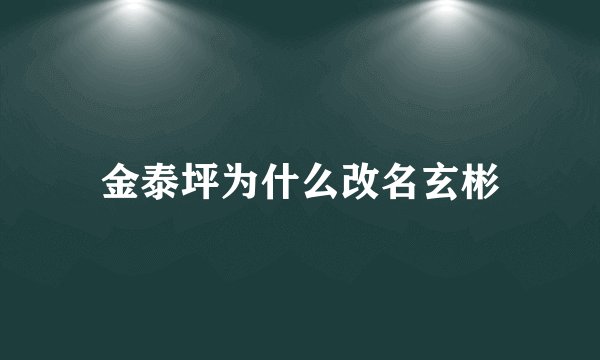 金泰坪为什么改名玄彬