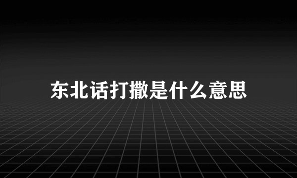 东北话打撒是什么意思