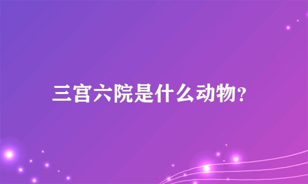 三宫六院是什么动物？