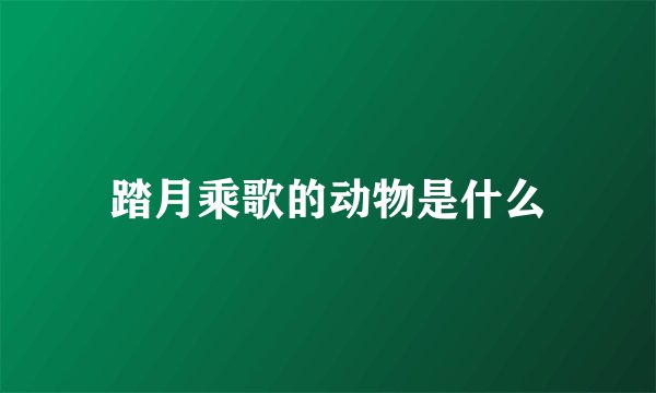 踏月乘歌的动物是什么