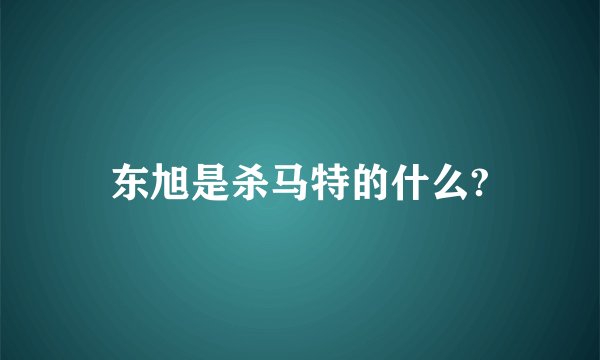 东旭是杀马特的什么?