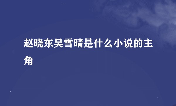 赵晓东吴雪晴是什么小说的主角
