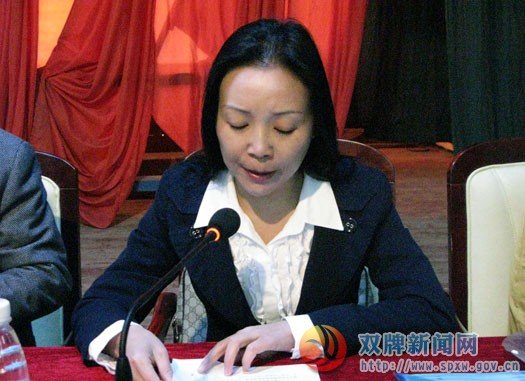 陈丽的人物简历