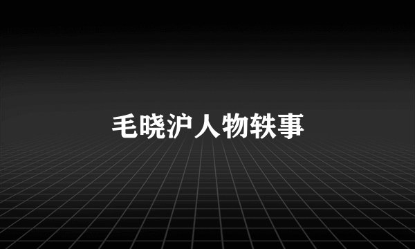 毛晓沪人物轶事