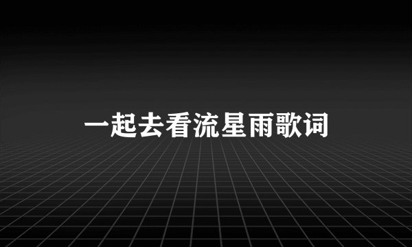 一起去看流星雨歌词