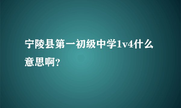 宁陵县第一初级中学1v4什么意思啊？
