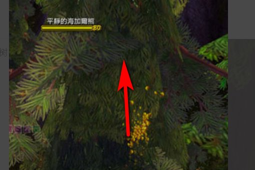 魔兽世界海加尔山“上面的熊”怎么将熊扔出去啊？