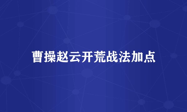 曹操赵云开荒战法加点