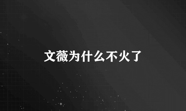 文薇为什么不火了
