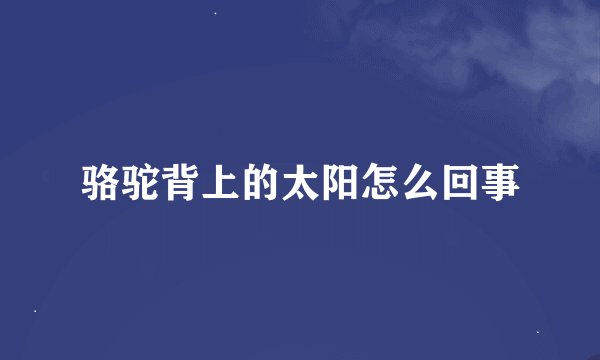 骆驼背上的太阳怎么回事