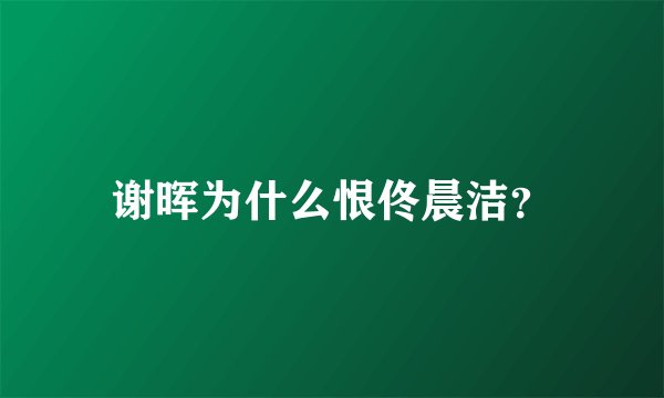 谢晖为什么恨佟晨洁？