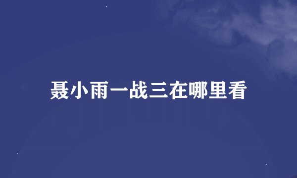 聂小雨一战三在哪里看