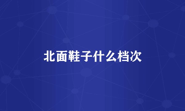 北面鞋子什么档次