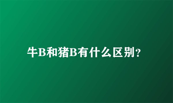 牛B和猪B有什么区别？