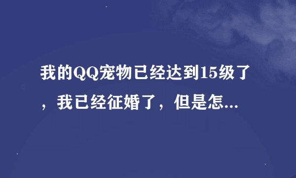 我的QQ宠物已经达到15级了，我已经征婚了，但是怎么样才能结婚呢？