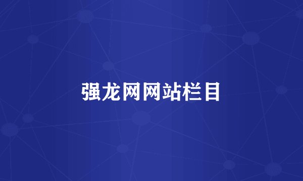 强龙网网站栏目