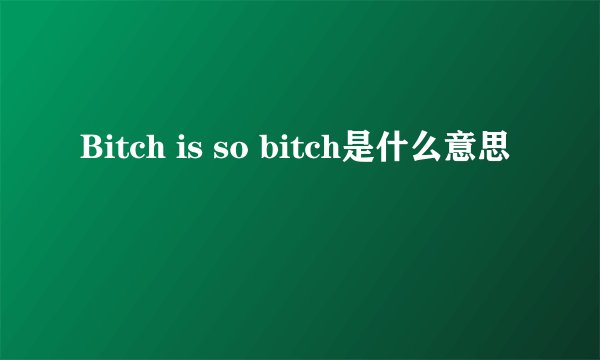 Bitch is so bitch是什么意思