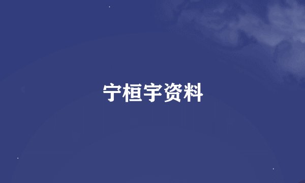 宁桓宇资料