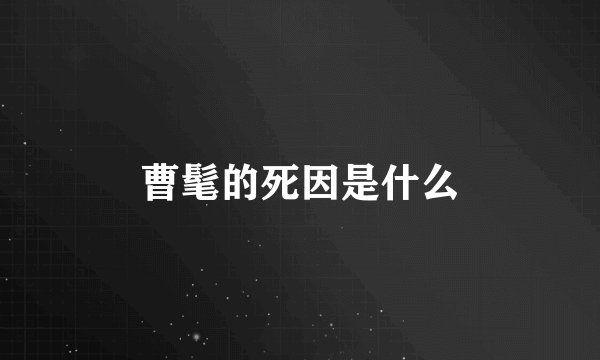曹髦的死因是什么