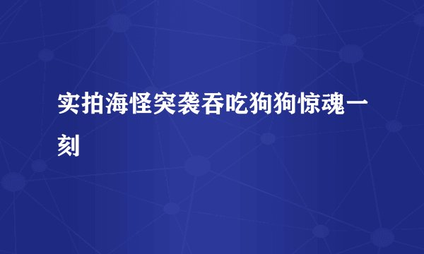 实拍海怪突袭吞吃狗狗惊魂一刻