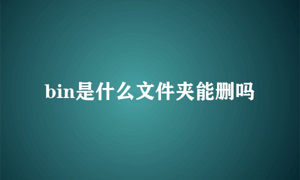 bin是什么文件夹能删吗