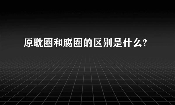 原耽圈和腐圈的区别是什么?