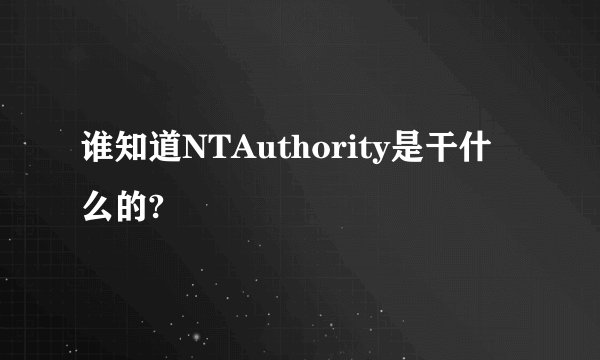谁知道NTAuthority是干什么的?