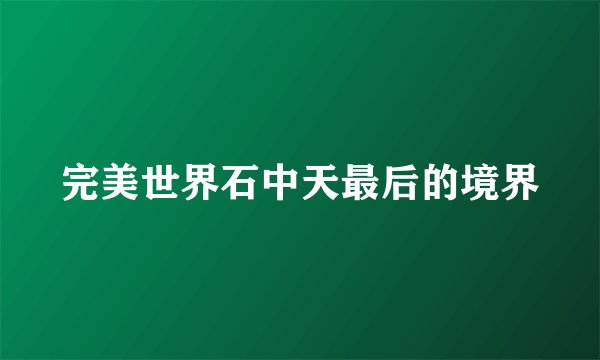 完美世界石中天最后的境界