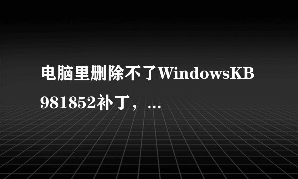 电脑里删除不了WindowsKB981852补丁,在控制面板里显示这个删不了,下了优化大师也删不了这个
