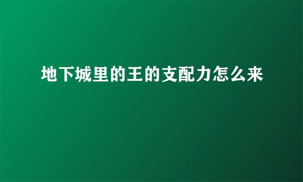 地下城里的王的支配力怎么来