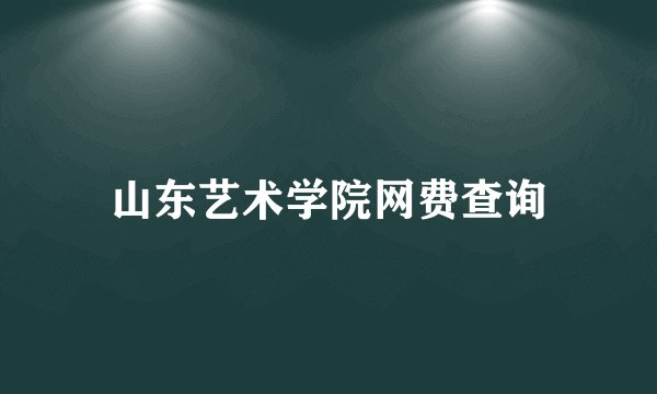 山东艺术学院网费查询
